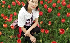 人与物videos另类